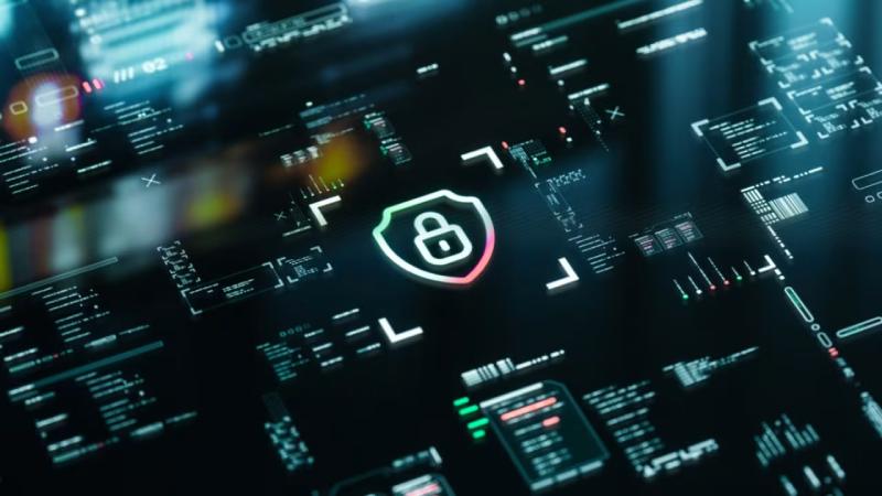 紫金县软件开发公司